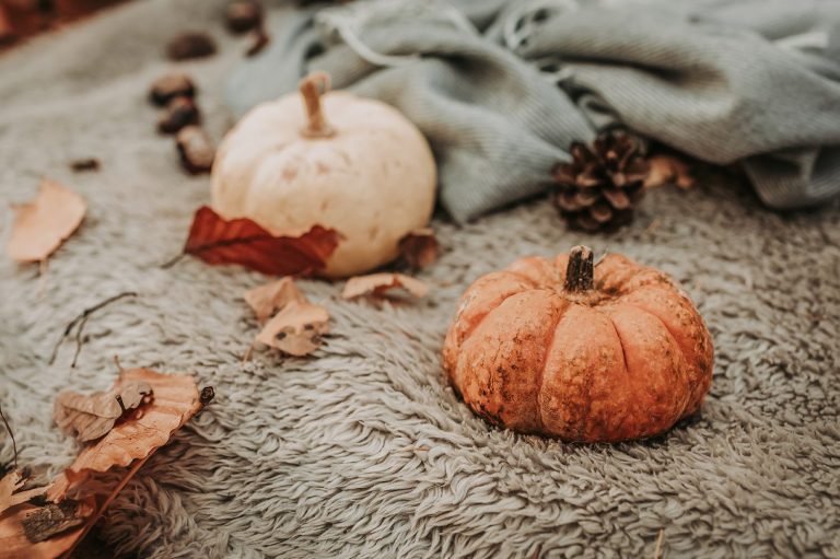 Wunderbunt Fotografie Kinderfotografen in Sachsen